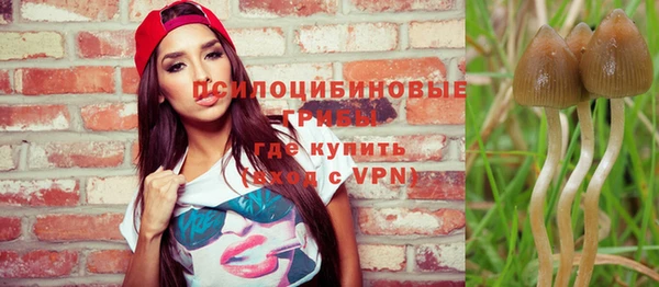 дживик Алзамай