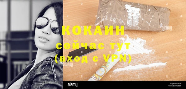дживик Алзамай