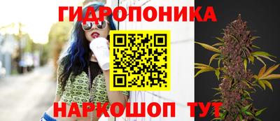 прущий лед Заводоуковск